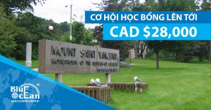 CƠ HỘI NHẬN HỌC BỔNG TỚI CAD $28,000 TẠI MOUNT SAINT VINCENT UNIVERSITY, CANADA